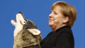 merkel-cdu