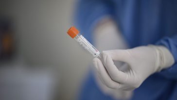 Şase medici