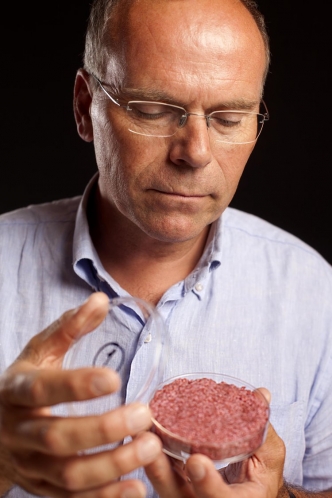 Olanda degustare carne artificială