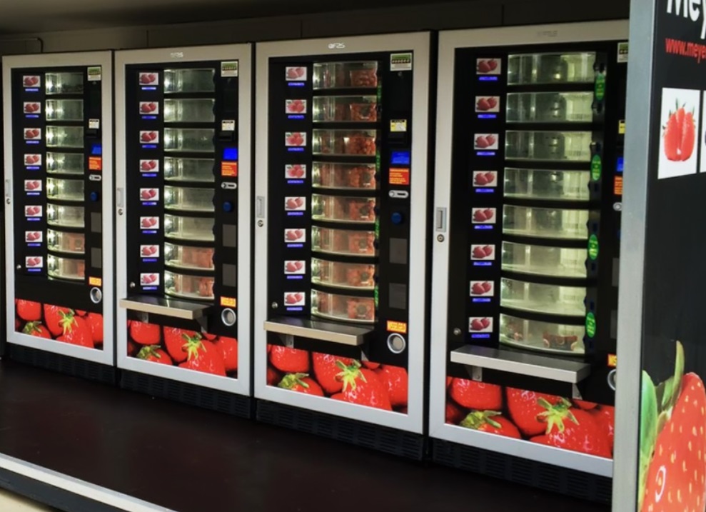 Furt de la automate de căpșuni din Belgia, români arestați