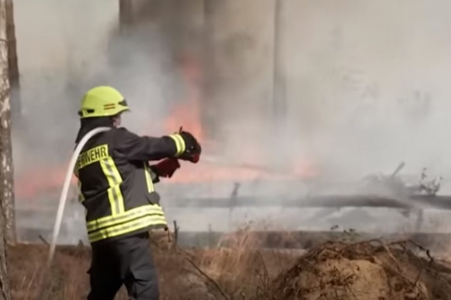 Incendii zone împădurite din Germania