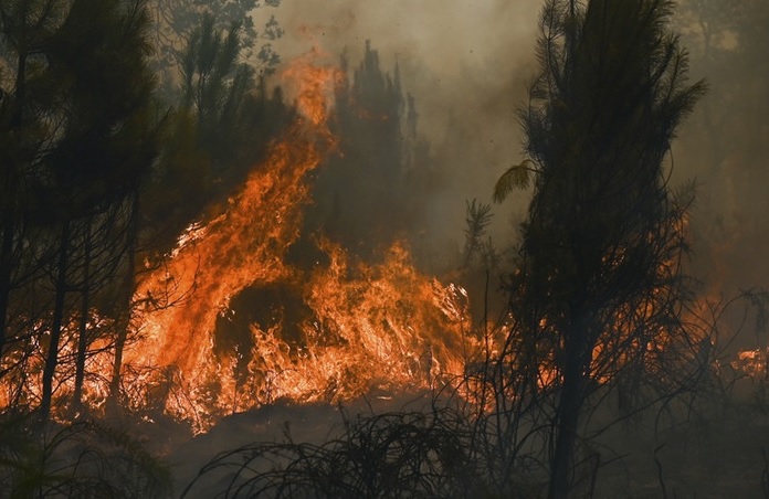 Germania înalt nivel alertă incendiu forestier