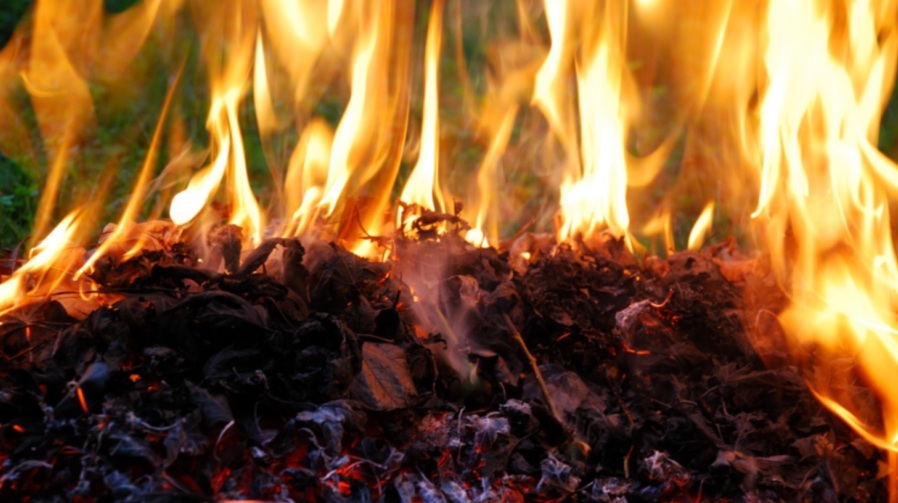 arderea deşeurilor grădină germania