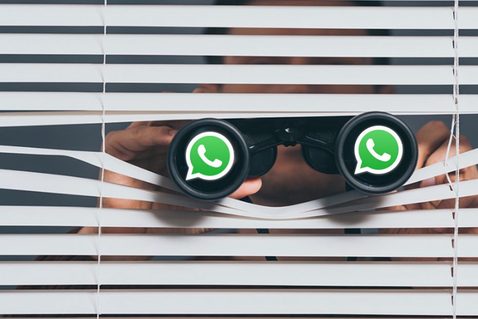 Modul ascuns la WhatsApp