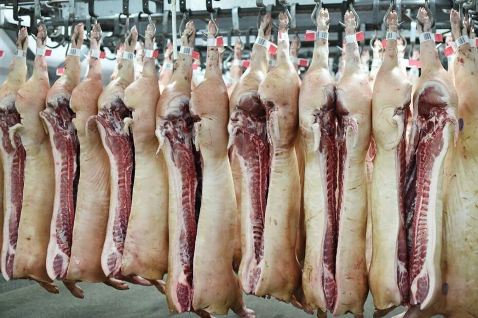 Tone de carne de porc furate de români în Belgia