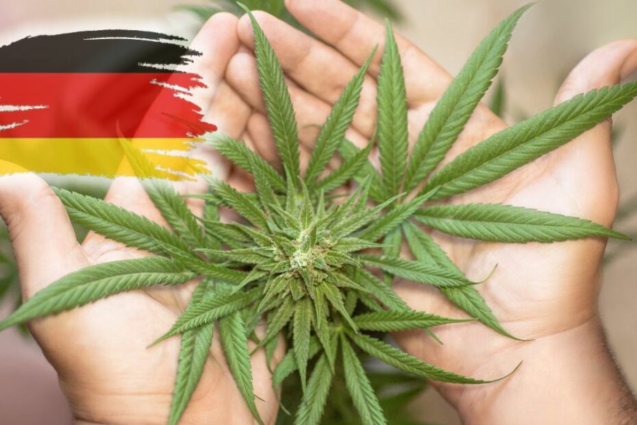 Planuri ajustate privind legalizarea marijuanei în Germania