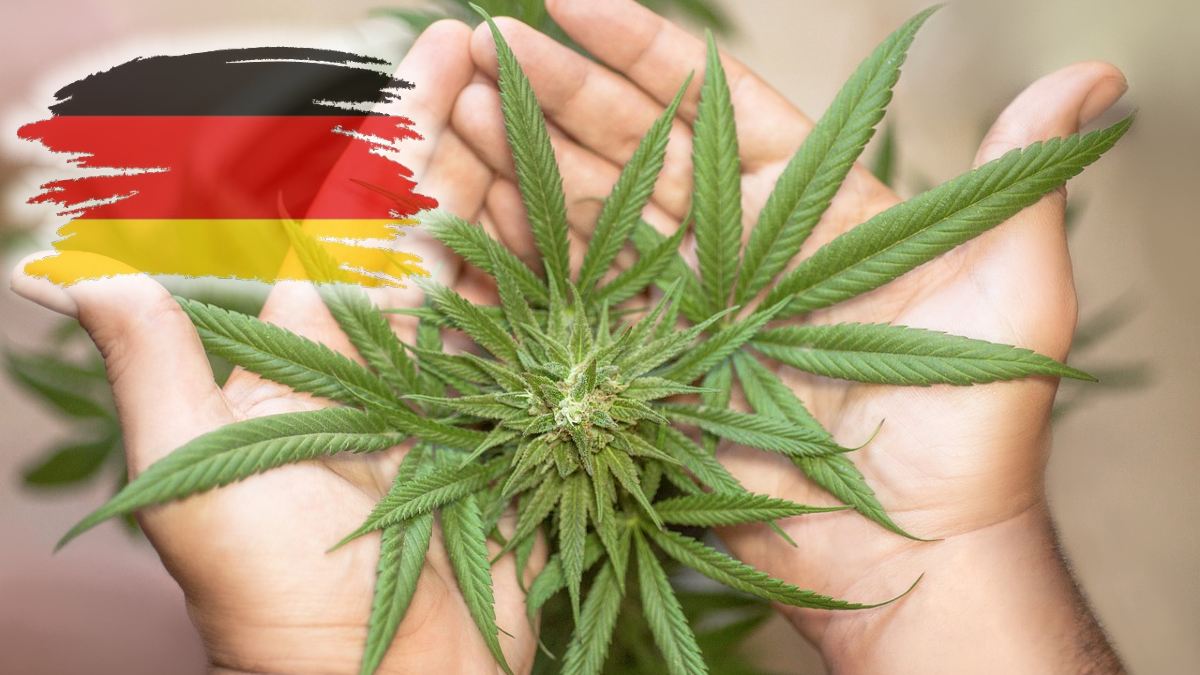 Planuri ajustate privind legalizarea marijuanei în Germania