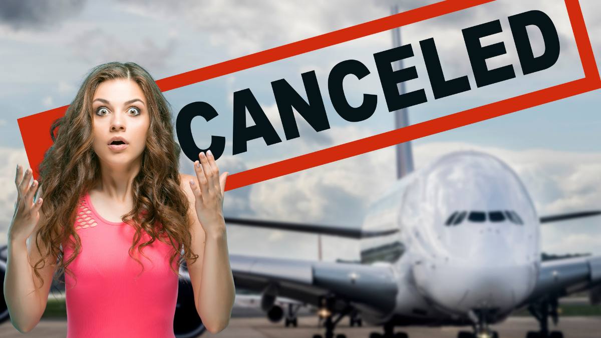 Compania aeriană low-cost anulează toate zborurile