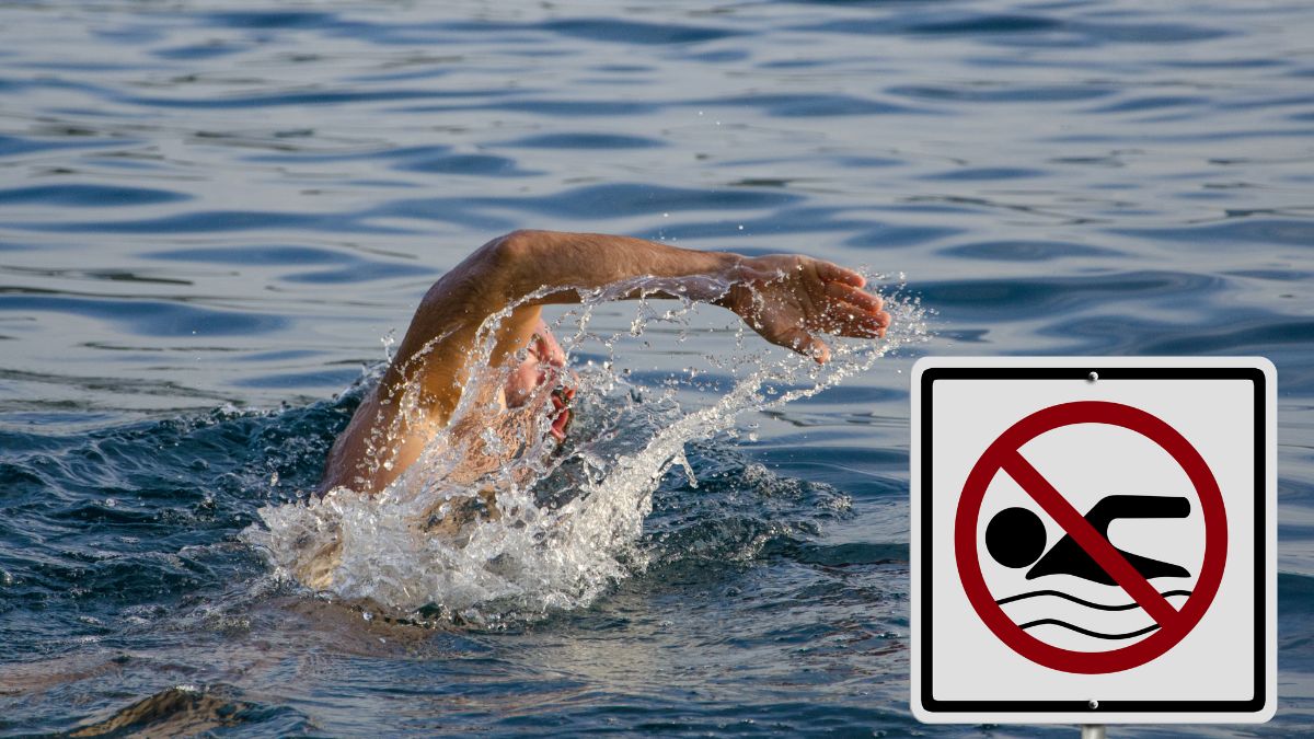 Nu înotați în Rin nu e piscină