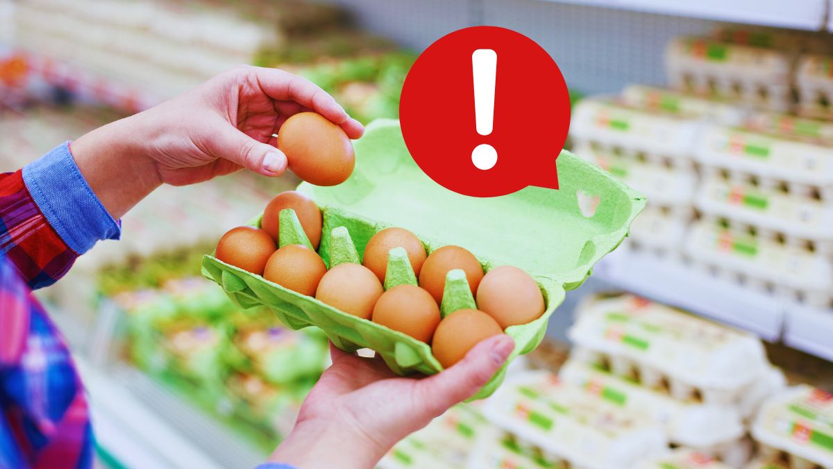 Ouăle nu le găsim în frigiderele din supermarketuri.
