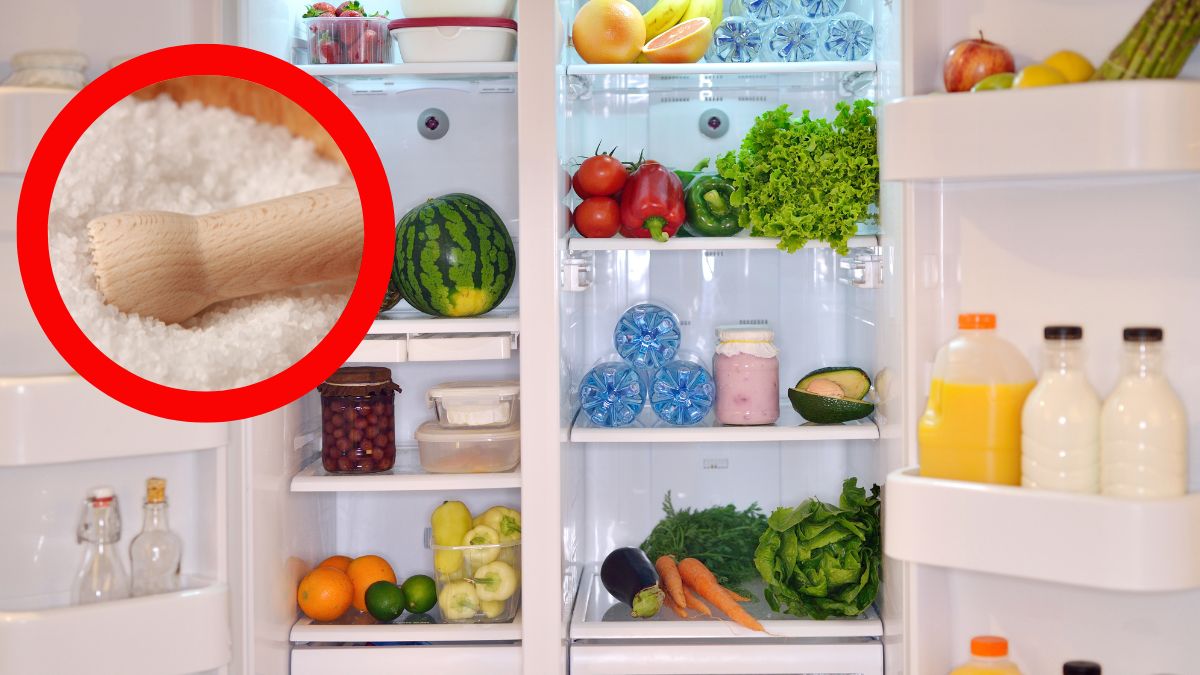 Importanța unui bol cu sare în frigider