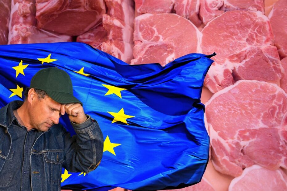 Noi reglementări UE vor face prețul cărnii de porc inaccesibil