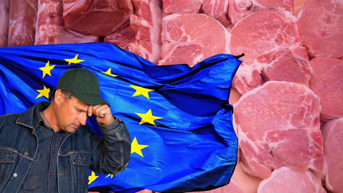 Noi reglementări UE vor face prețul cărnii de porc inaccesibil