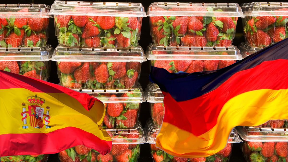 Războiul căpșunilor între Spania și Germania