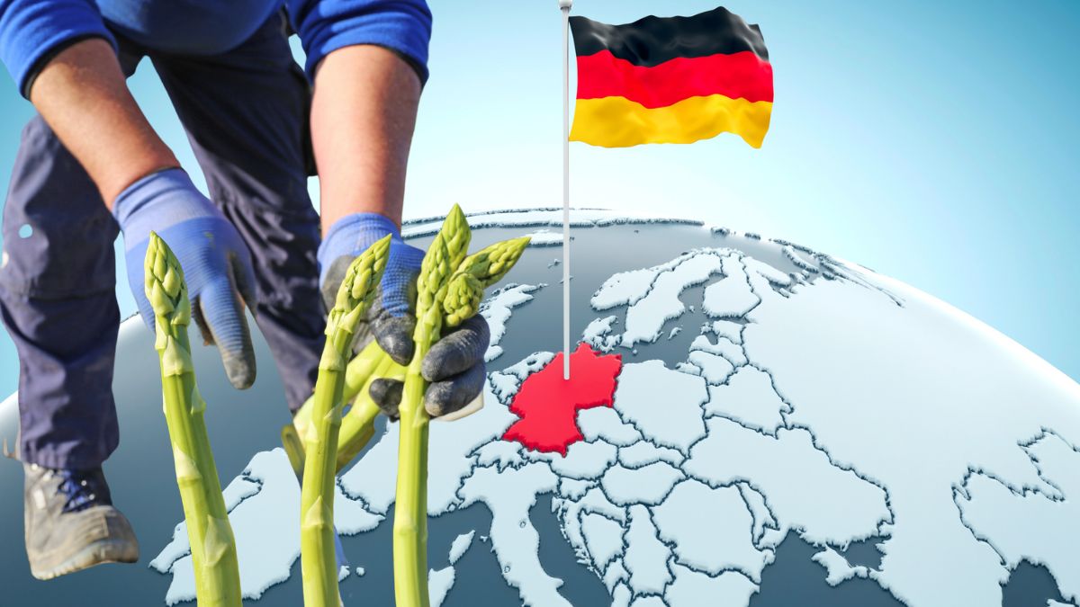 Salariul minim brut 2023 Germania