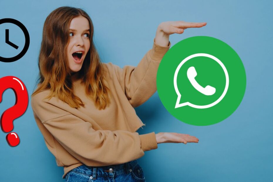 Trucul de a afla pe WhatsApp la ce oră a citit destinatarul mesajul pe care l-ai trimis