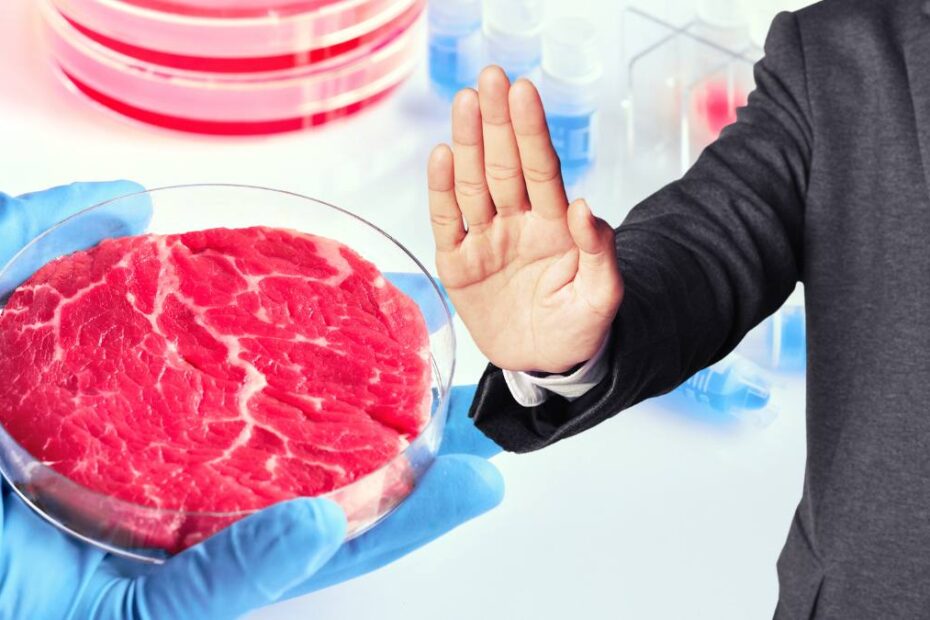 Lovitură UE România interzice consumul de carne sintetică