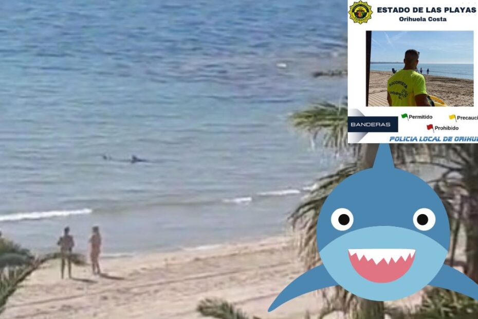 Plajă evacuată din cauza unui rechin în Spania