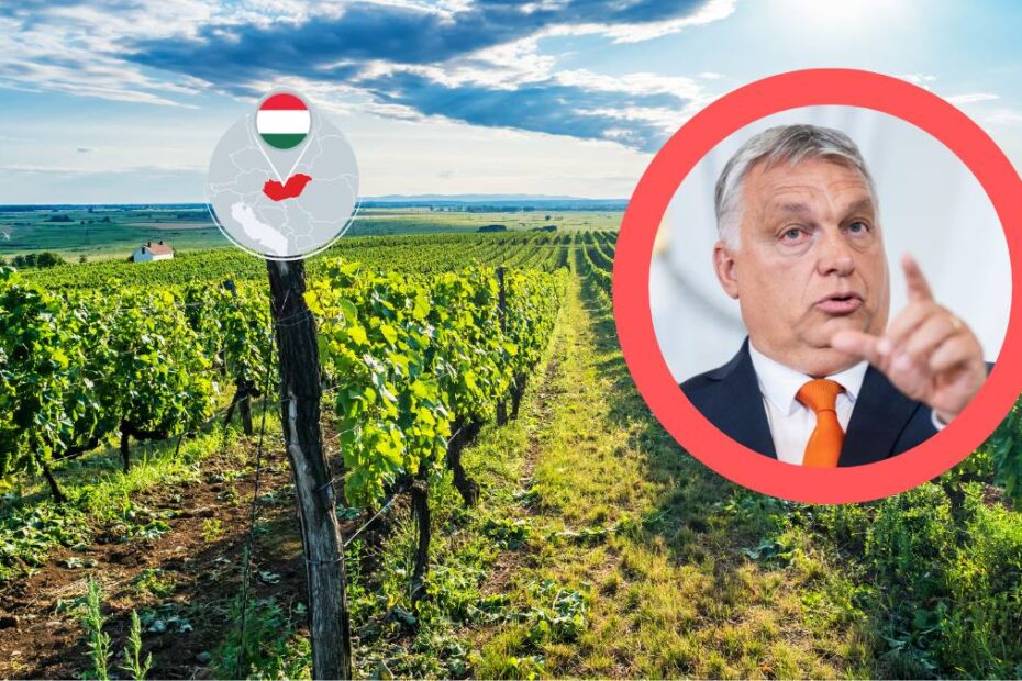 Ungaria condiții drastice intrarea străinilor la muncă