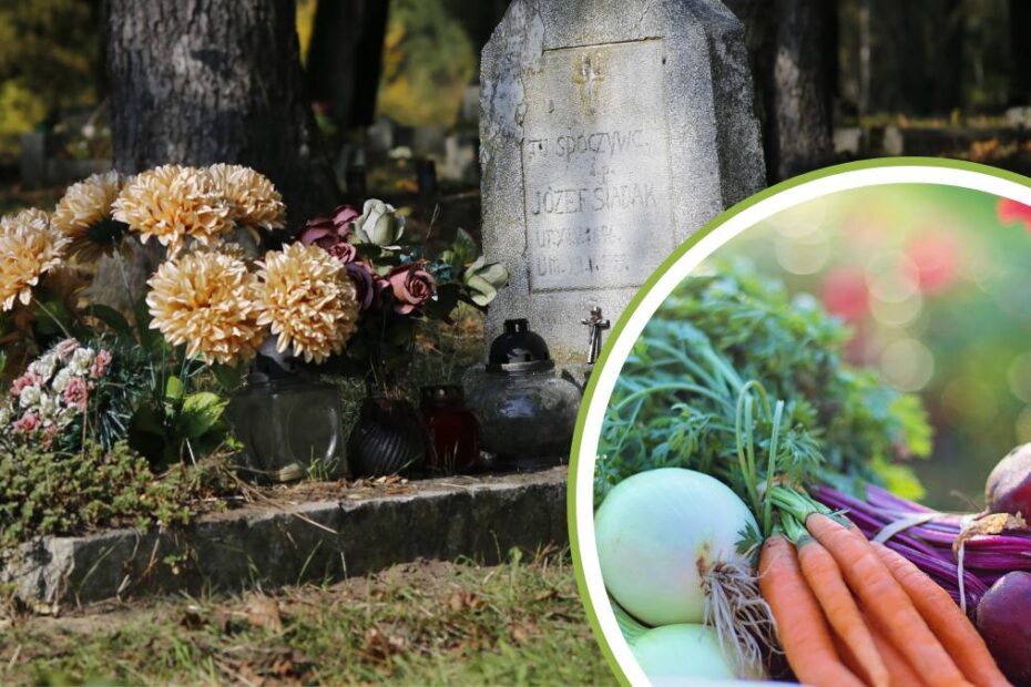 La Viena se cultivă legume ORGANICE în cimitire