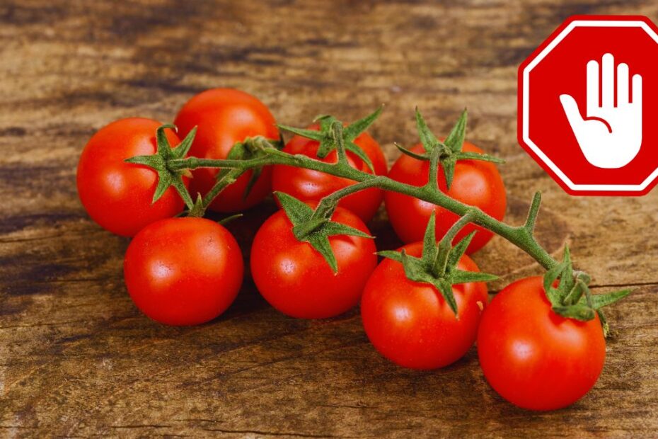 Roșiile cherry ar fi provocat un focar de salmonella în 13 țări europene