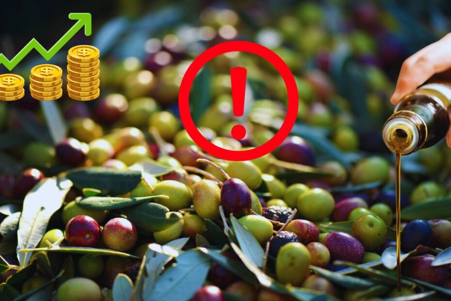Guvernul spaniol nu găsește soluții să stopeze creșterea prețului la uleiul de măsline