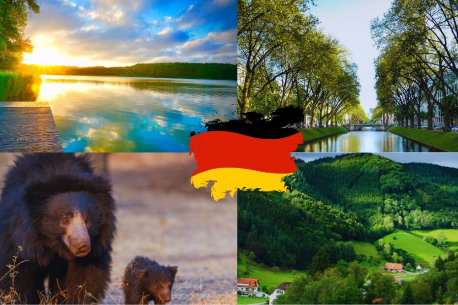 7 destinații turistice deosebite în Germania