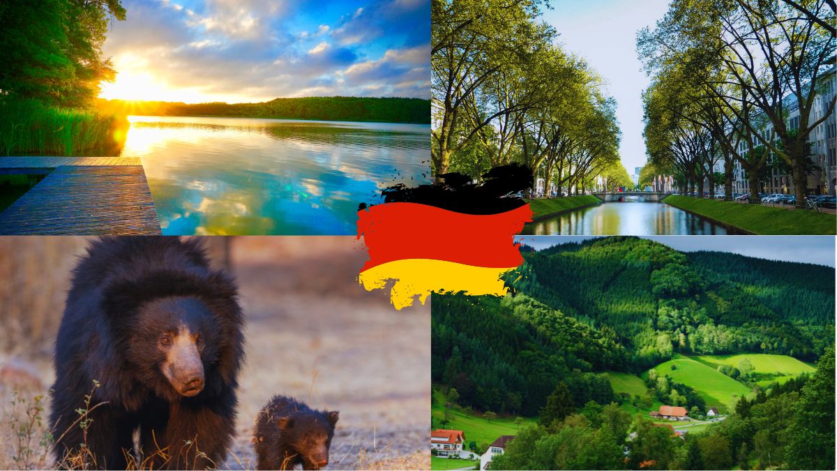 7 destinații turistice deosebite în Germania