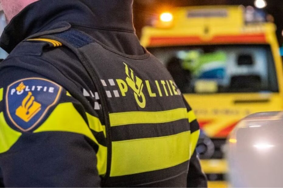 Accident grav pe A1 în Olanda. Șofer român și doi copii, morți