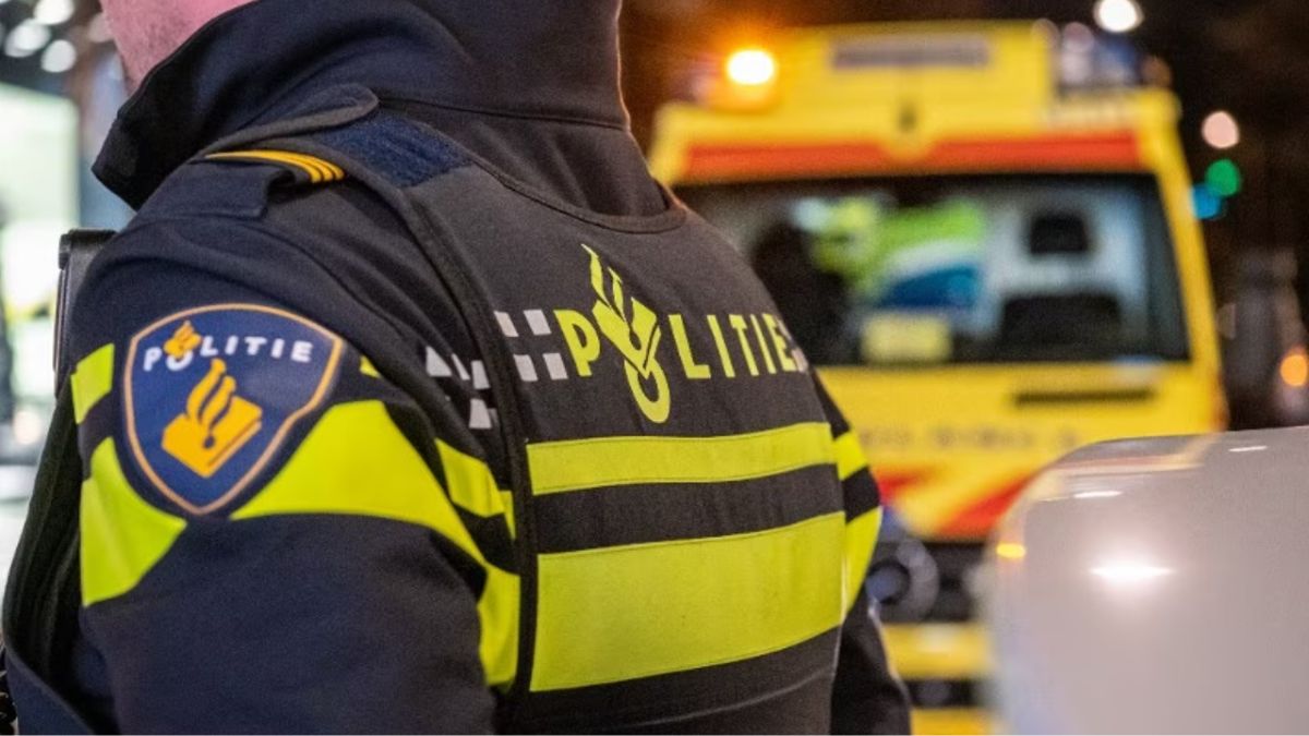 Accident grav pe A1 în Olanda. Șofer român și doi copii, morți