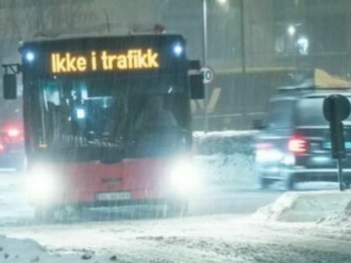 Autobuze electrice paralizate de îngheț