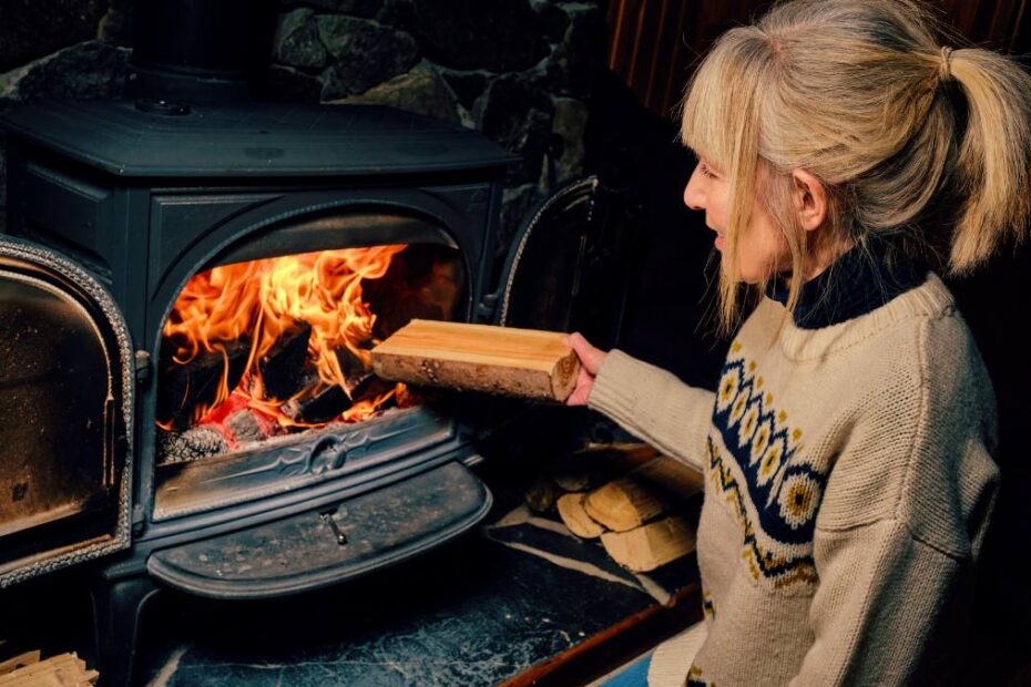 încălzirea cu lemne interzisă din 2026 Germania