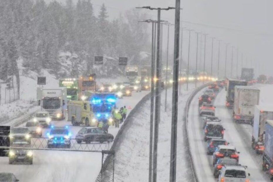 Ger năprasnic în Norvegia