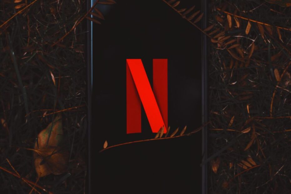 netflix noiembrie