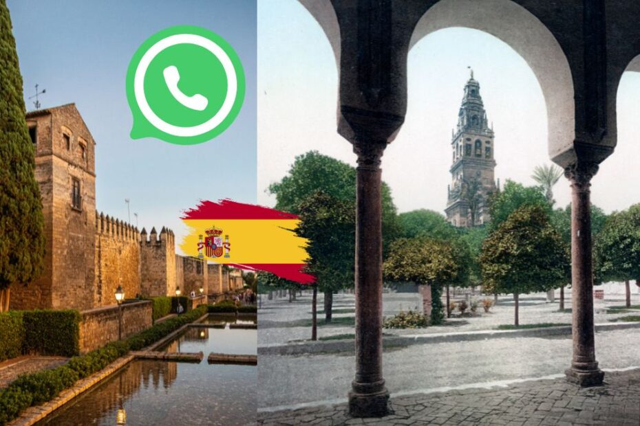Studiu utilizare WhatsApp în Spania