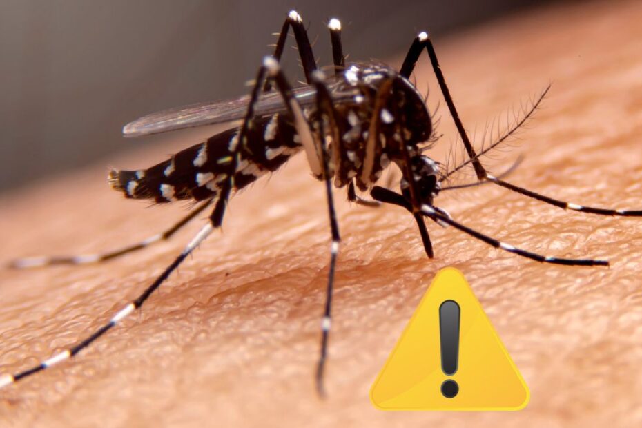 Febra Dengue în Italia