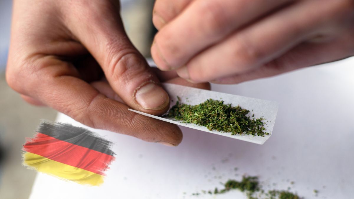 Legalizarea canabisului în Germania 1 aprilie 2024