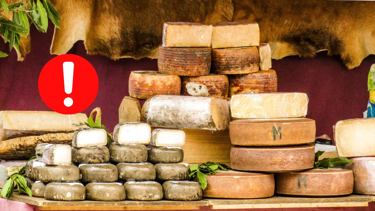 Topul celei mai sănătoase brânze din lume
