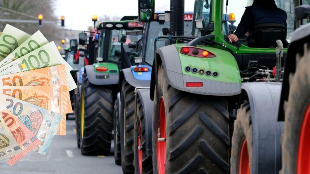 Reduceri de taxe pentru fermieri germania