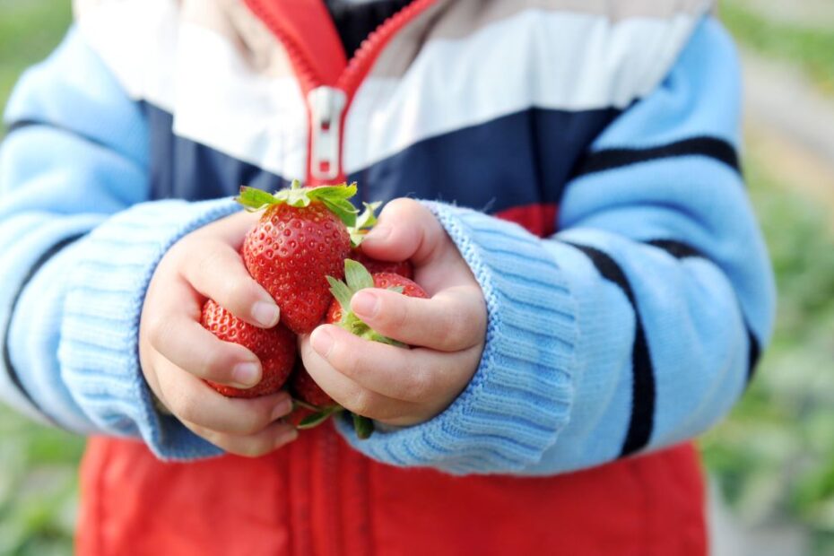 Un băiețel de 8 ani a murit după ce a mâncat căpșuni