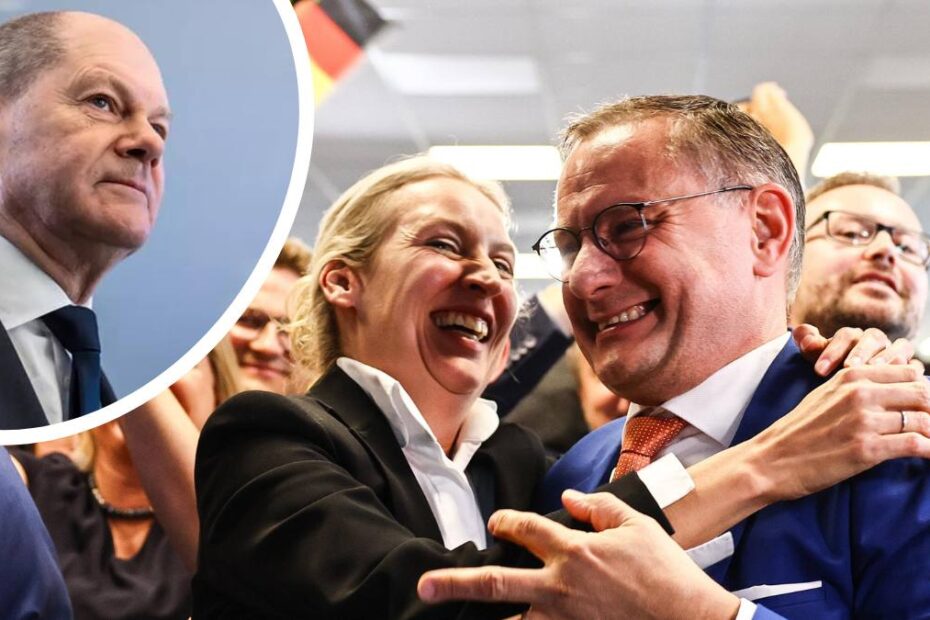 AfD surpriză a alegerilor în Germania