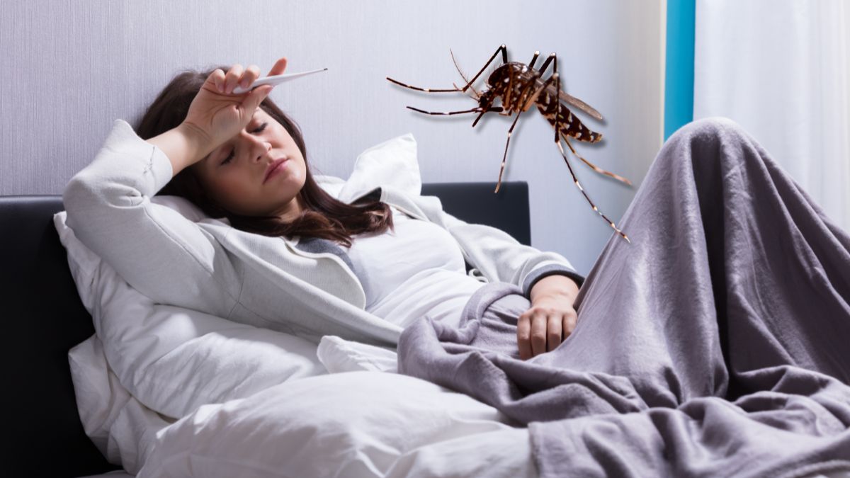 Creștere boli cauzate de țânțari în Europa