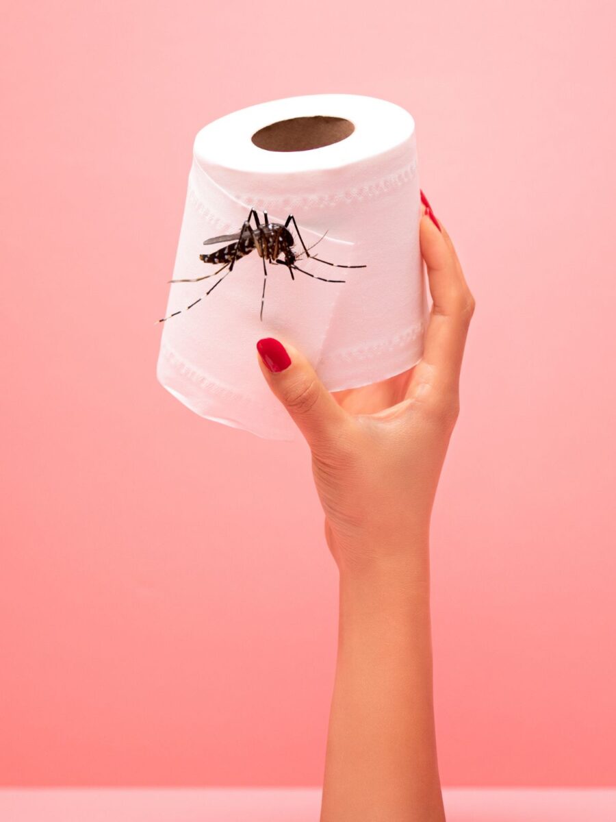 Trucul hârtiei igienice pentru a respinge țânțarii