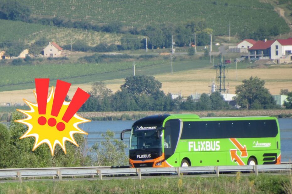 șofer Flixbus beat