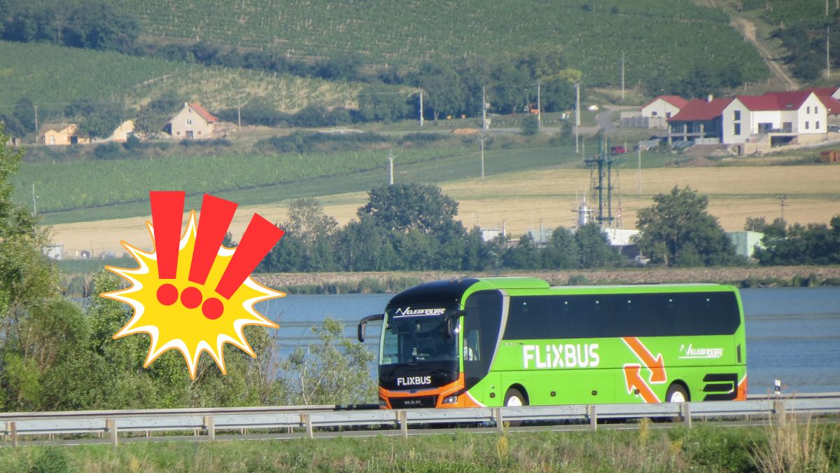 șofer Flixbus beat 