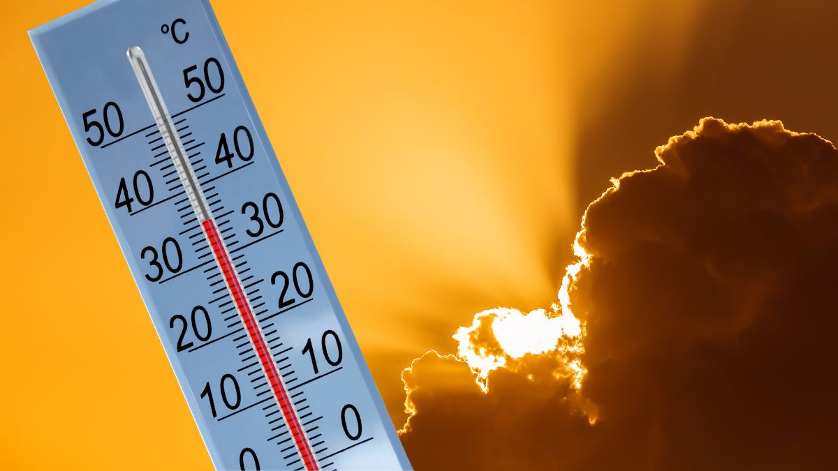 Avertizare de stres termic sever în Germania