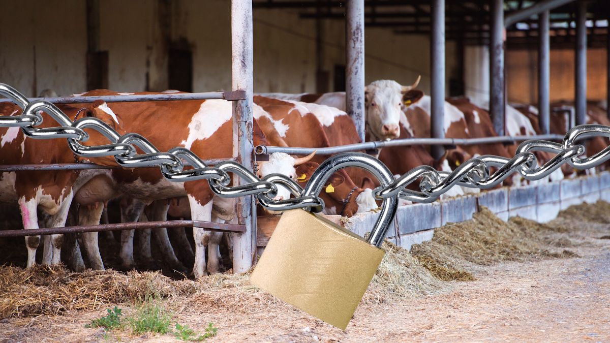 Program de închidere a fermelor de animale