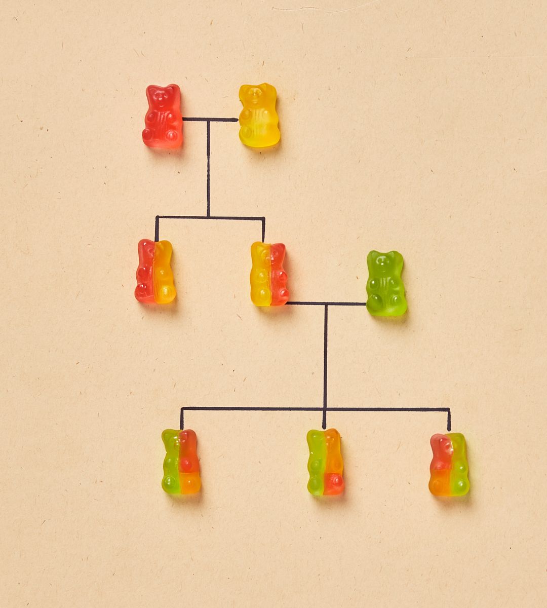 Moștenirea în familie: dacă există un testament, rudele mai au vreun drept?