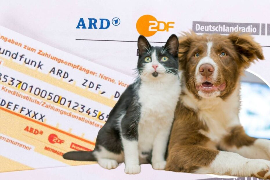 Taxa radio-TV pentru animale de companie