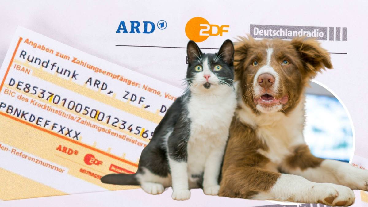 Taxa radio-TV pentru animale de companie